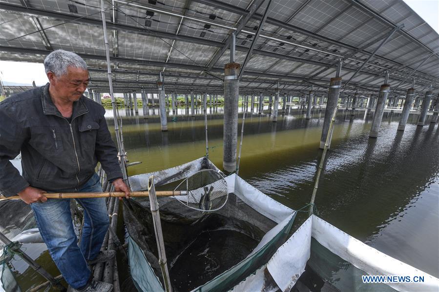 CHINA-ZHEJIANG-CHANGXING-PHOTOVOLTAIC PANELS-ELECTRICITY GENERATION-PISCICULTURE (CN)