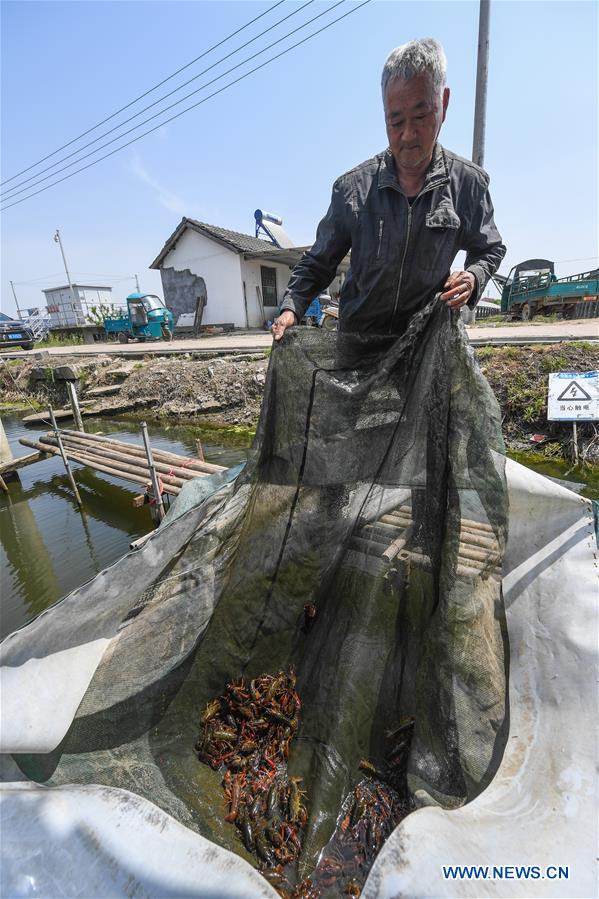 CHINA-ZHEJIANG-CHANGXING-PHOTOVOLTAIC PANELS-ELECTRICITY GENERATION-PISCICULTURE (CN)