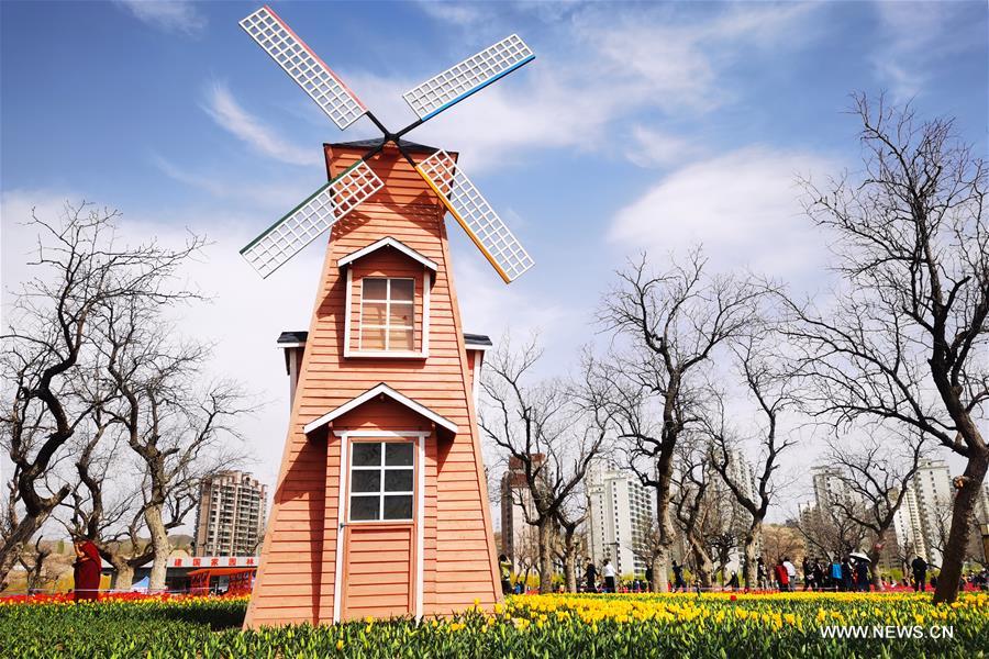 CHINA-GANSU-YONGJING-TULIPS (CN)