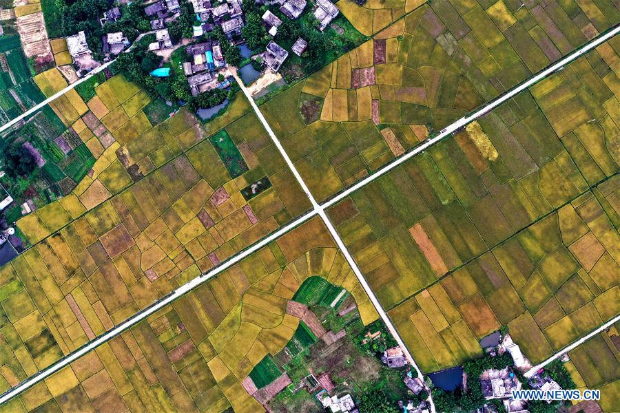 CHINA-GUANGXI-POVERTY ALLEVIATION-RURAL TRANSPORT UPGRADE (CN)