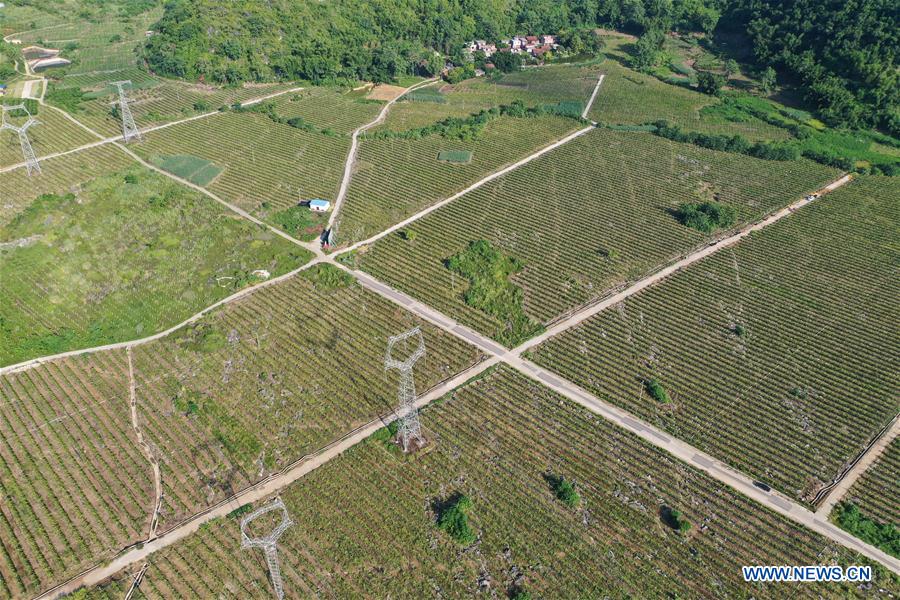 CHINA-GUANGXI-POVERTY ALLEVIATION-RURAL TRANSPORT UPGRADE (CN)