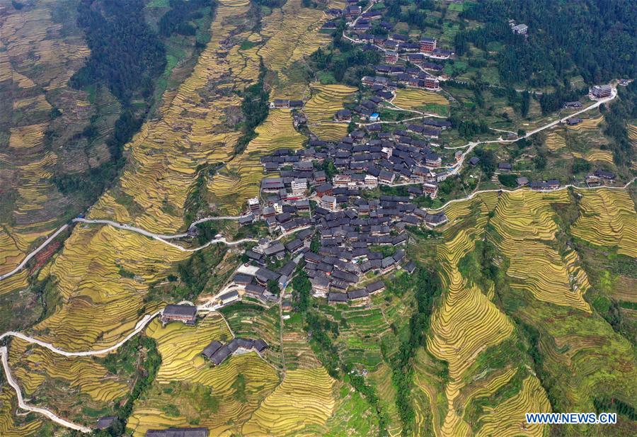 CHINA-GUANGXI-POVERTY ALLEVIATION-RURAL TRANSPORT UPGRADE (CN)