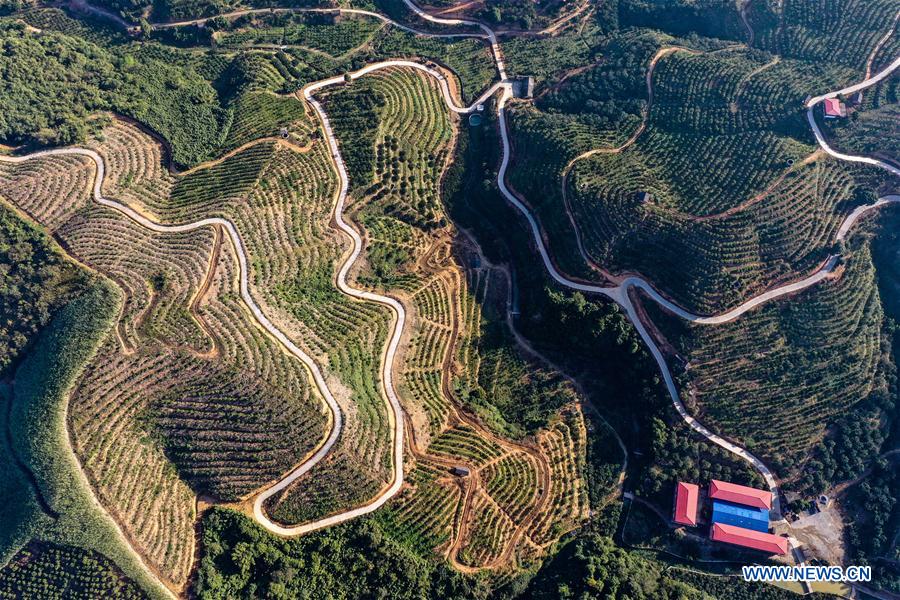 CHINA-GUANGXI-POVERTY ALLEVIATION-RURAL TRANSPORT UPGRADE (CN)