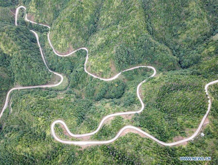 CHINA-GUANGXI-POVERTY ALLEVIATION-RURAL TRANSPORT UPGRADE (CN)