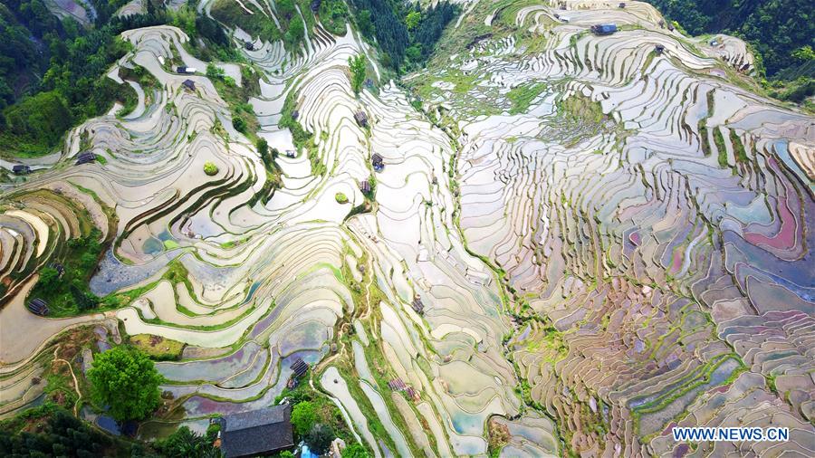 CHINA-GUIZHOU-TERRACED FIELDS (CN)