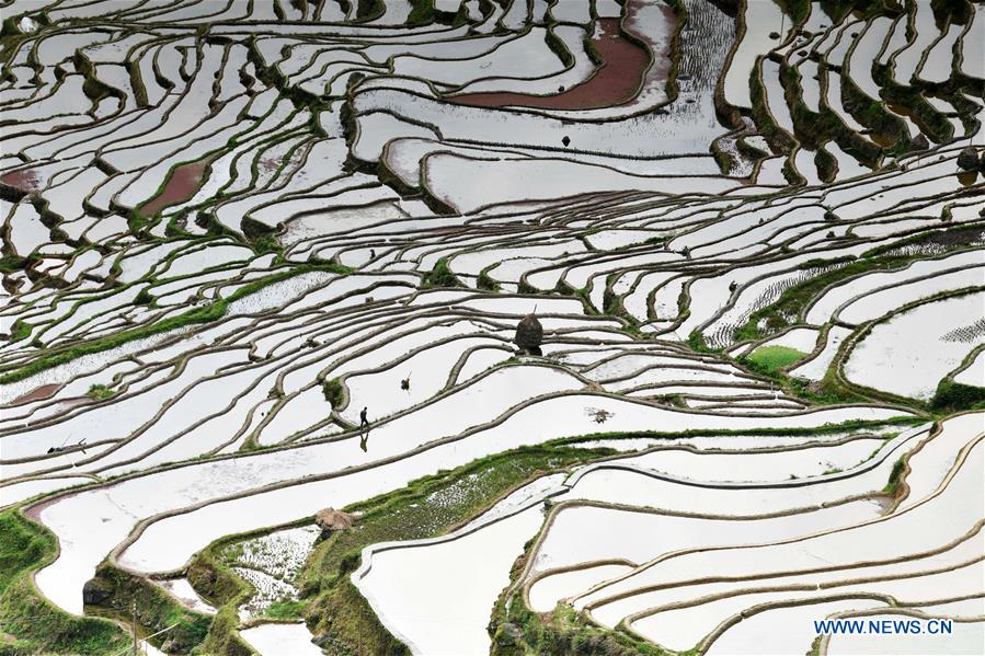 CHINA-GUIZHOU-TERRACED FIELDS (CN)