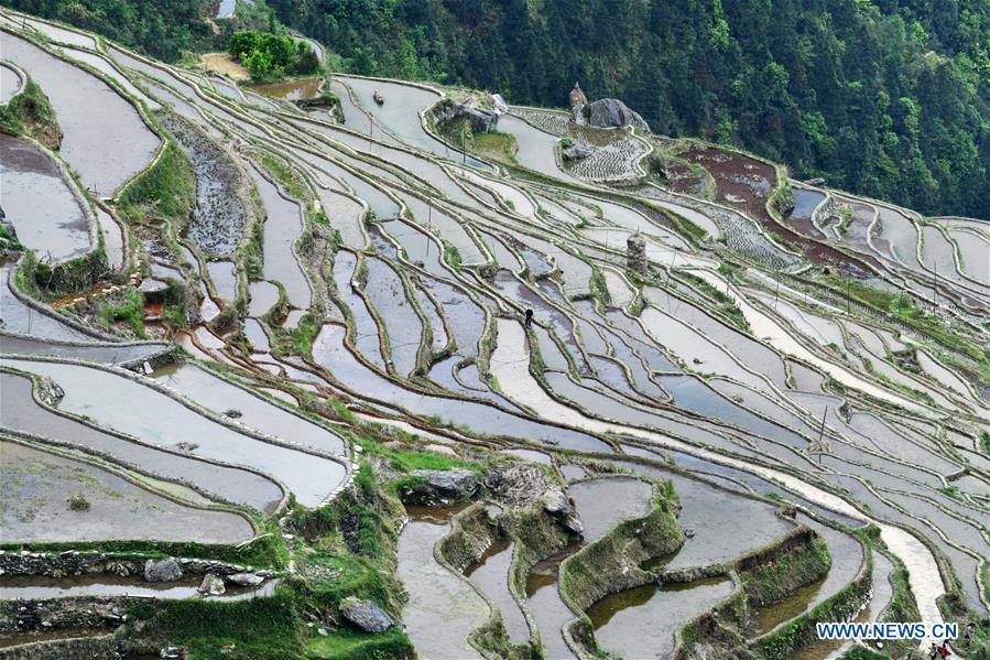 CHINA-GUIZHOU-TERRACED FIELDS (CN)