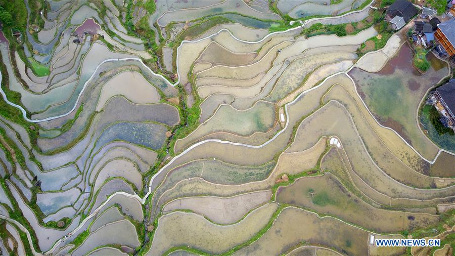 CHINA-GUIZHOU-TERRACED FIELDS (CN)