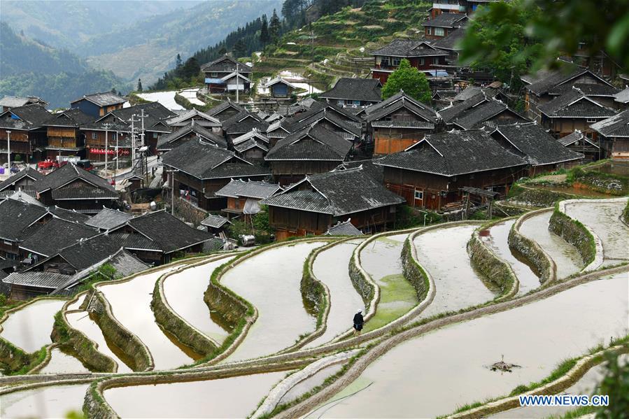 CHINA-GUIZHOU-TERRACED FIELDS (CN)