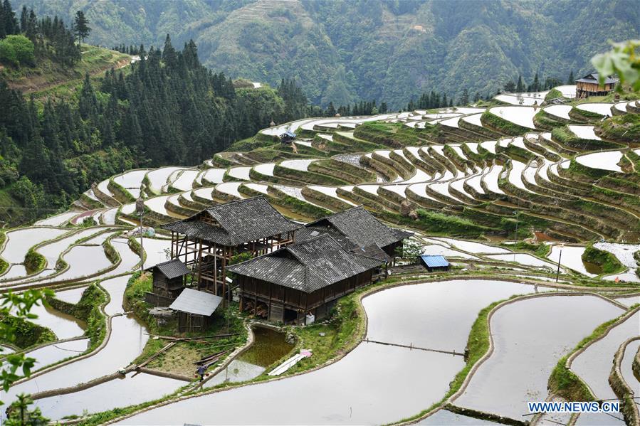 CHINA-GUIZHOU-TERRACED FIELDS (CN)