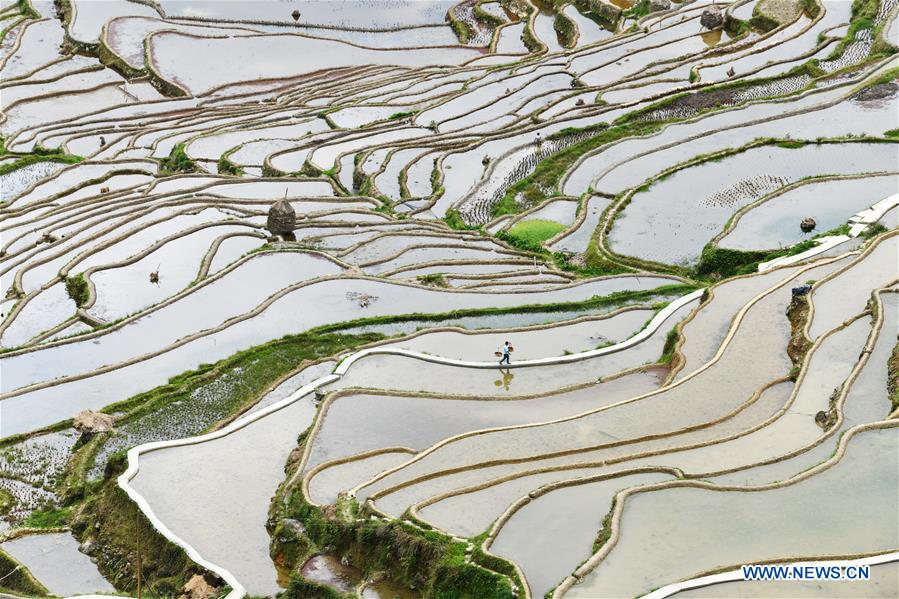 CHINA-GUIZHOU-TERRACED FIELDS (CN)