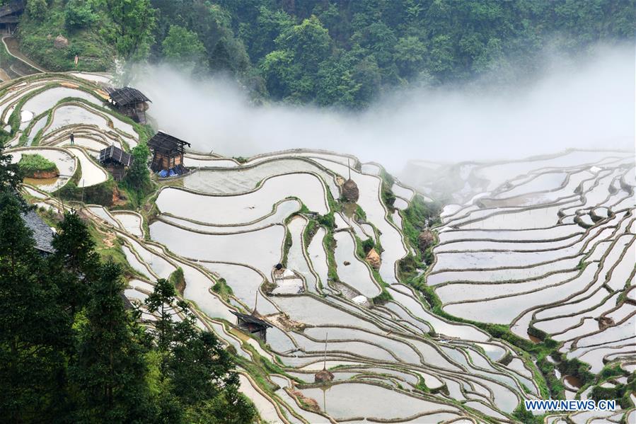 CHINA-GUIZHOU-TERRACED FIELDS (CN)