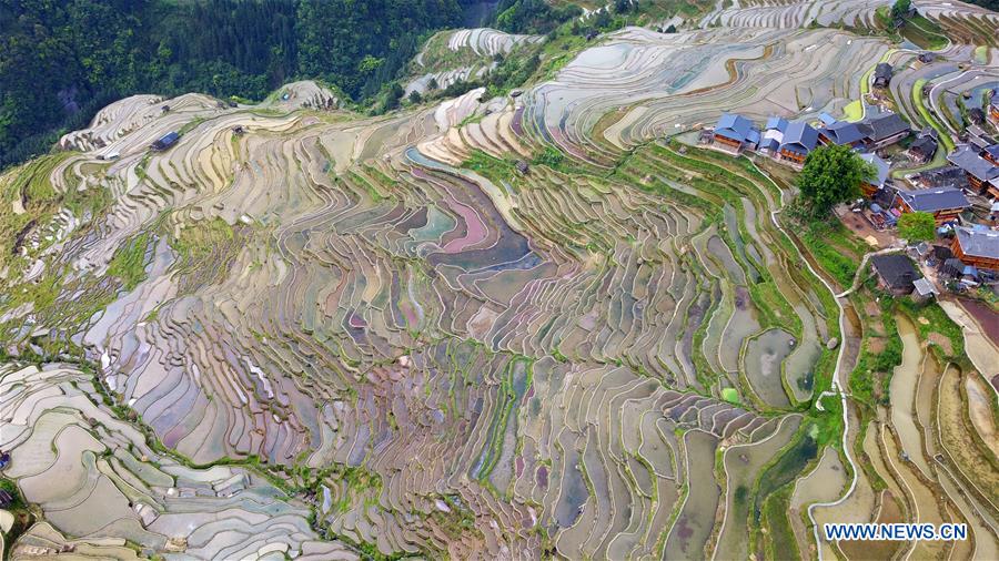 CHINA-GUIZHOU-TERRACED FIELDS (CN)