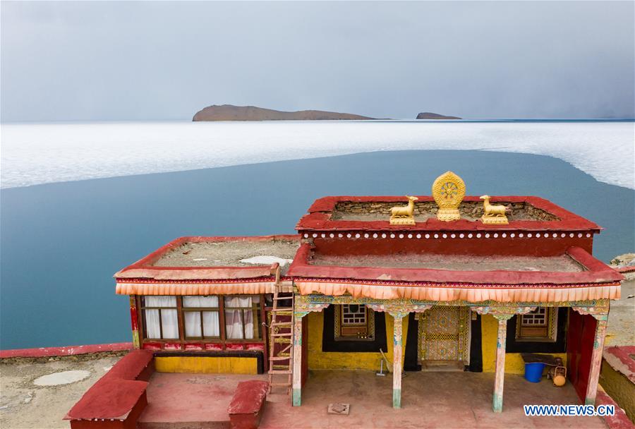 (InTibet)CHINA-TIBET-PUMA YUMCO LAKE (CN)