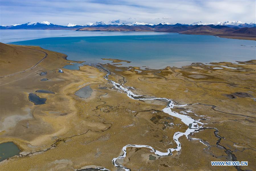(InTibet)CHINA-TIBET-PUMA YUMCO LAKE (CN)