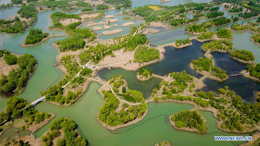 CHINA-SHANDONG-JINAN-WETLAND PARK-SCENERY (CN)