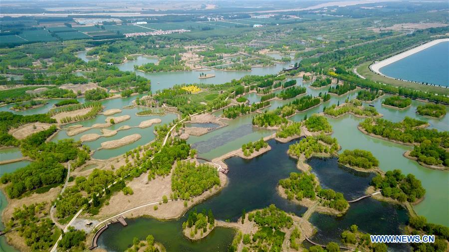 CHINA-SHANDONG-JINAN-WETLAND PARK-SCENERY (CN)