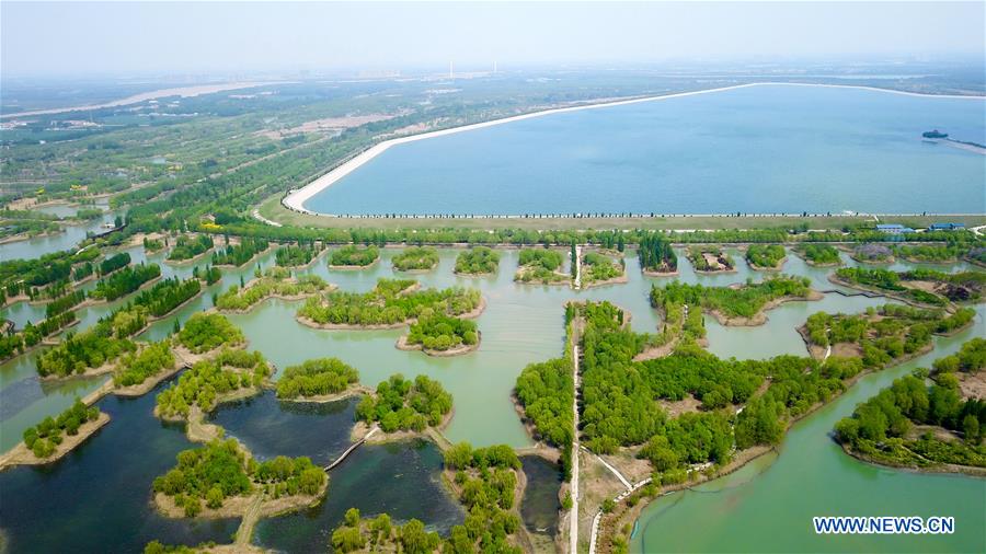 CHINA-SHANDONG-JINAN-WETLAND PARK-SCENERY (CN)