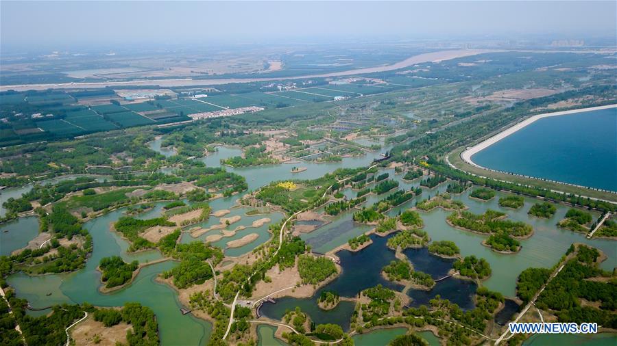 CHINA-SHANDONG-JINAN-WETLAND PARK-SCENERY (CN)