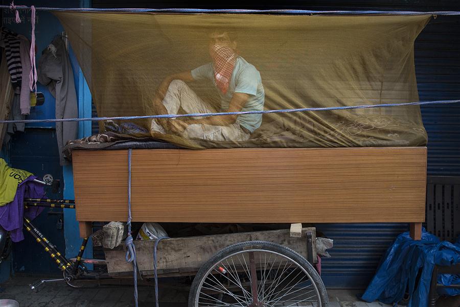 XINHUA PHOTOS OF THE DAY