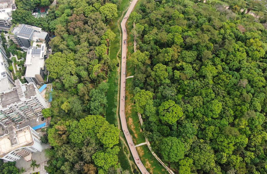 XINHUA PHOTOS OF THE DAY