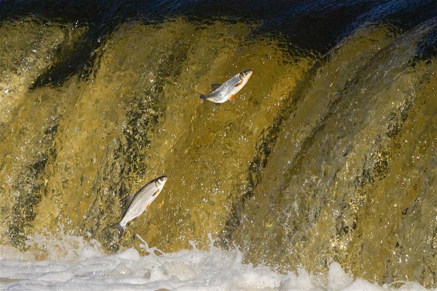 XINHUA PHOTOS OF THE DAY