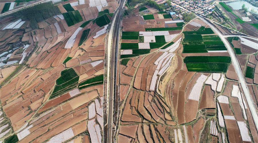CHINA-SHANDONG-RIZHAO-FIELD-AERIAL VIEW (CN)