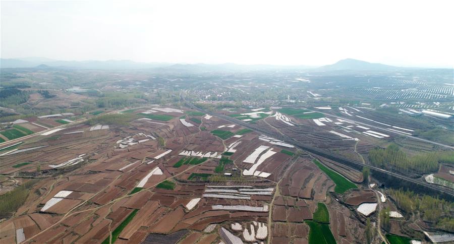 CHINA-SHANDONG-RIZHAO-FIELD-AERIAL VIEW (CN)