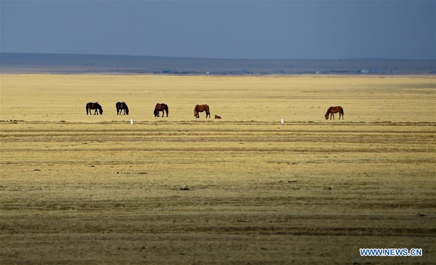 CHINA-INNER MONGOLIA-SPRING SCENERY (CN)