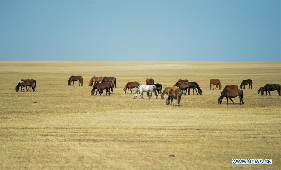CHINA-INNER MONGOLIA-SPRING SCENERY (CN)