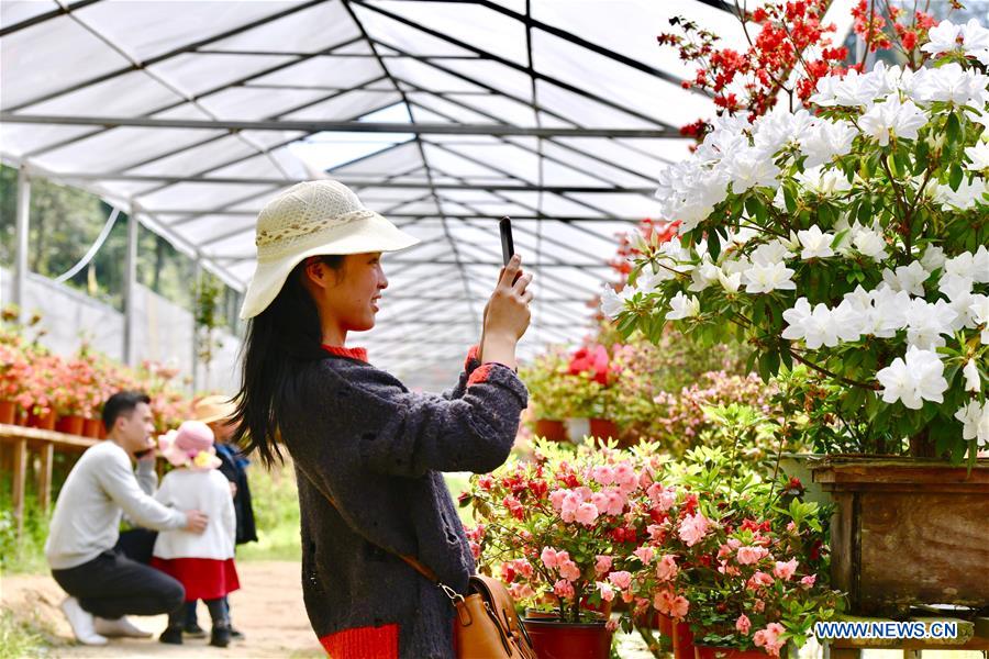 CHINA-FUJIAN-ZHOUNING-FLOWER INDUSTRY (CN)