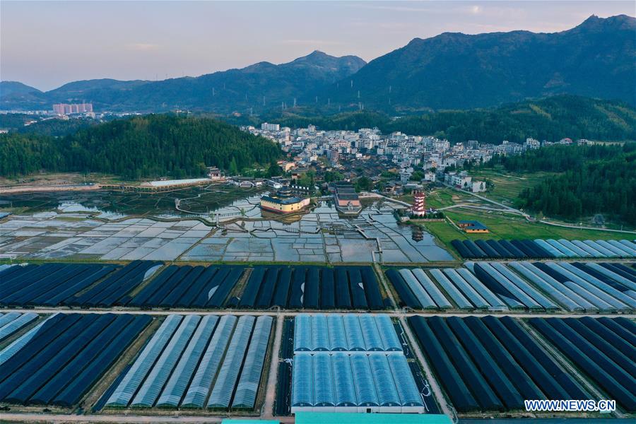 CHINA-FUJIAN-ZHOUNING-FLOWER INDUSTRY (CN)