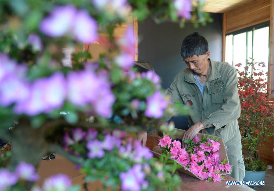 CHINA-FUJIAN-ZHOUNING-FLOWER INDUSTRY (CN)