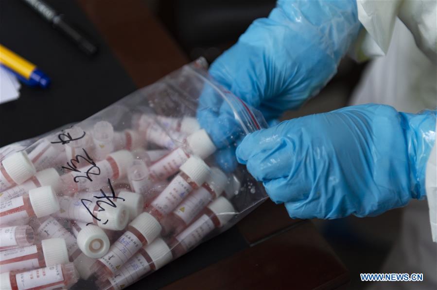 CHINA-HUBEI-XIANGYANG-COVID-19-TEACHER-NUCLEIC ACID TEST (CN)