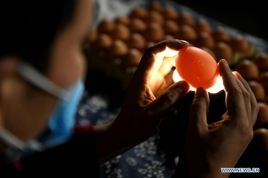 #CHINA-HEBEI-SHIJIANGZHUANG-INTANGIBLE CULTURAL HERITAGE-EGG CARVING (CN)