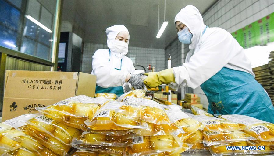 #CHINA-HEIBEI-ZUNHUA-PRODUCTION RESUMPTION-EXPORT ORDERS (CN)