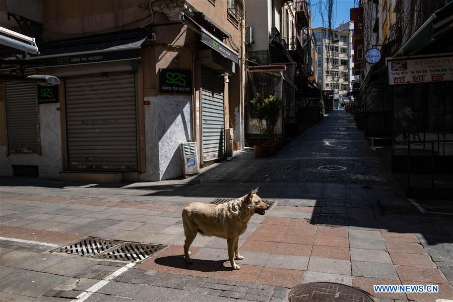 TURKEY-ISTANBUL-COVID-19