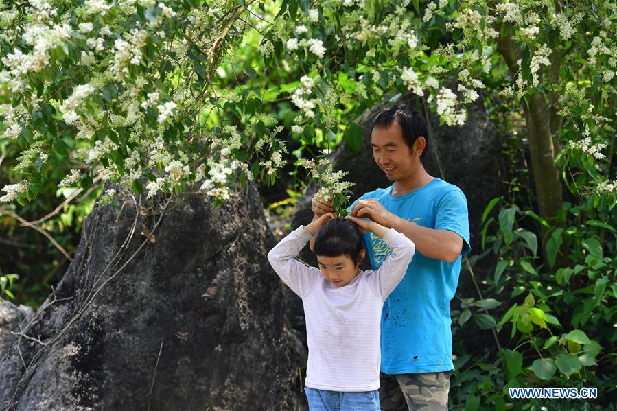 CHINA-GUANGXI-POVERTY RELIEF-DEVELOPMENT (CN)