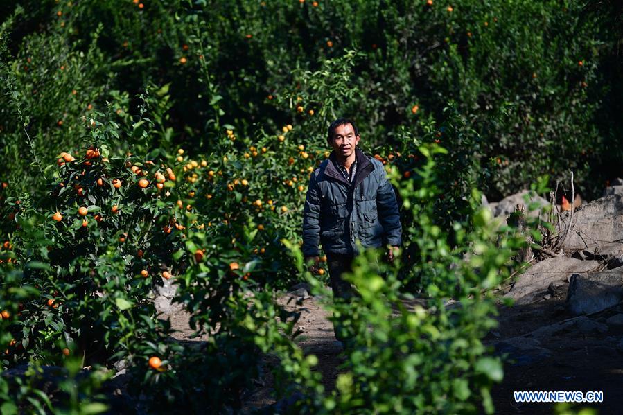 CHINA-GUANGXI-POVERTY RELIEF-DEVELOPMENT (CN)