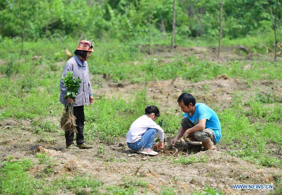 CHINA-GUANGXI-POVERTY RELIEF-DEVELOPMENT (CN)