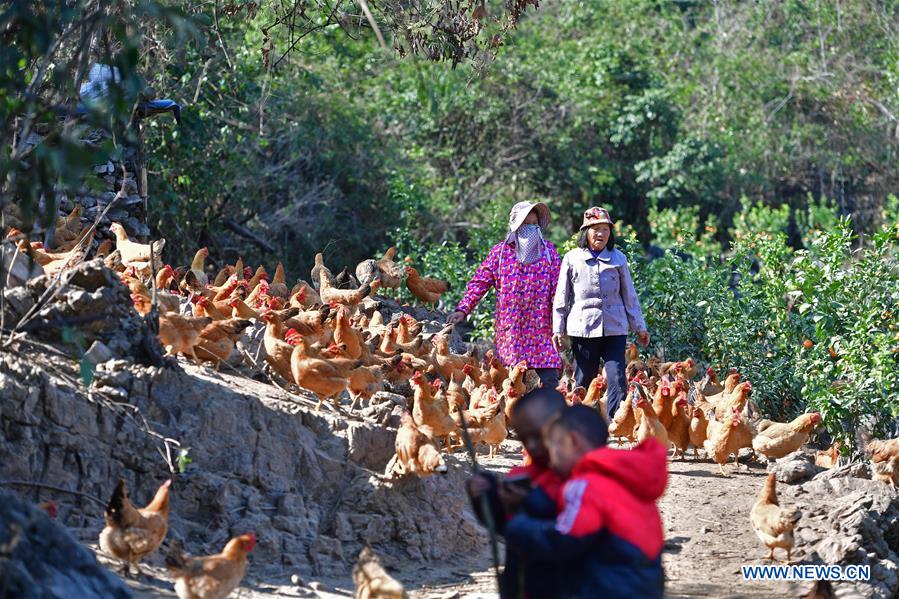 CHINA-GUANGXI-POVERTY RELIEF-DEVELOPMENT (CN)
