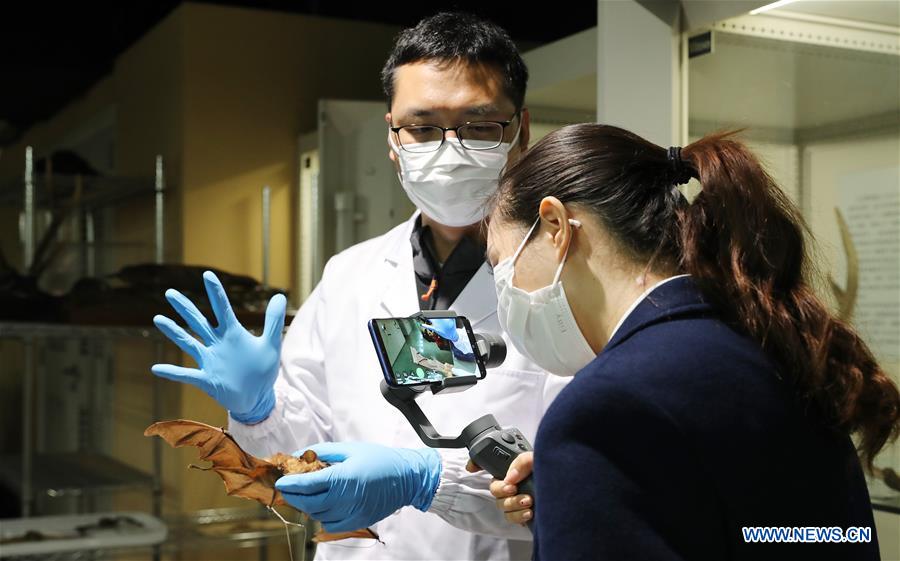 CHINA-SHANGHAI-5G-LIVESTREAMING (CN)