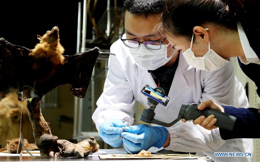 CHINA-SHANGHAI-5G-LIVESTREAMING (CN)