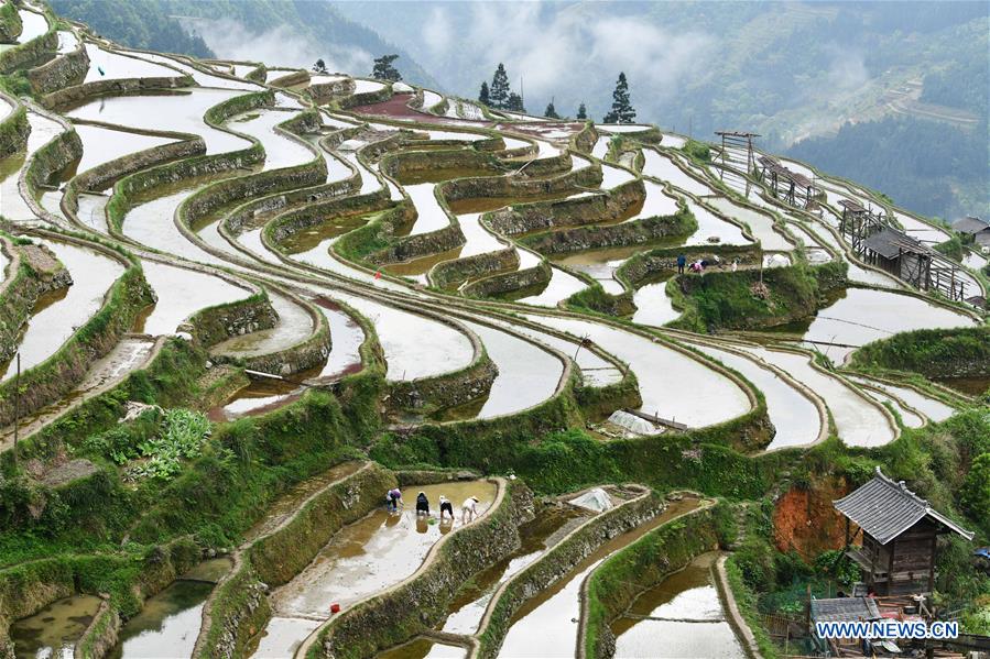 CHINA-GUIZHOU-CONGJIANG-TERRACED FIELDS (CN)
