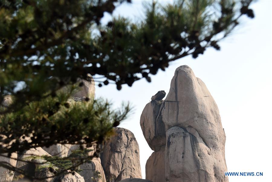 CHINA-SHANDONG-RIZHAO-JIUXIAN MOUNTAIN-SCENERY (CN)