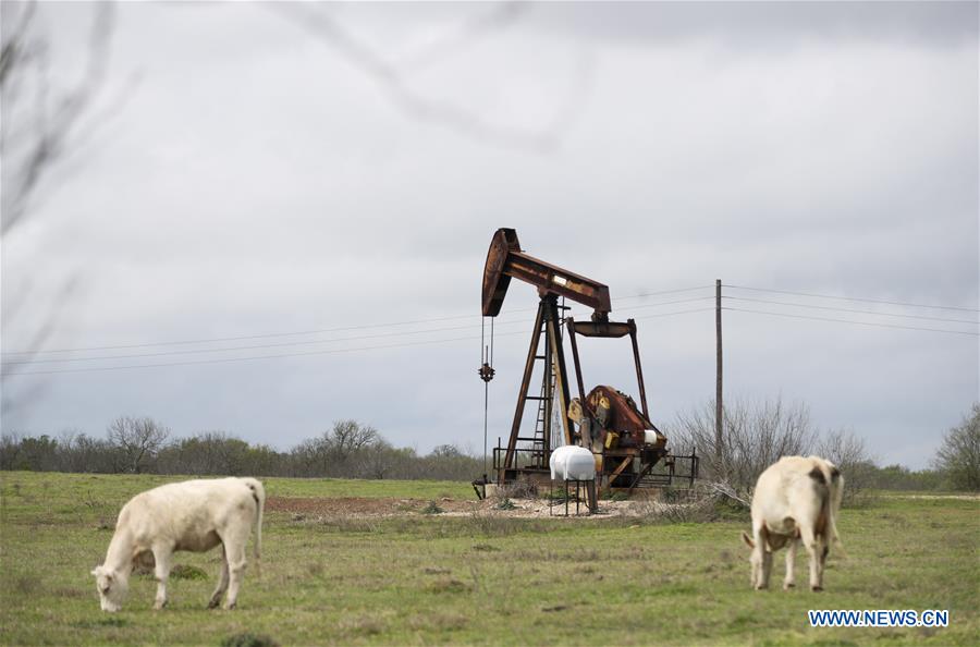 FILE-U.S.-TEXAS-LULING-OIL PRICES-CRASH
