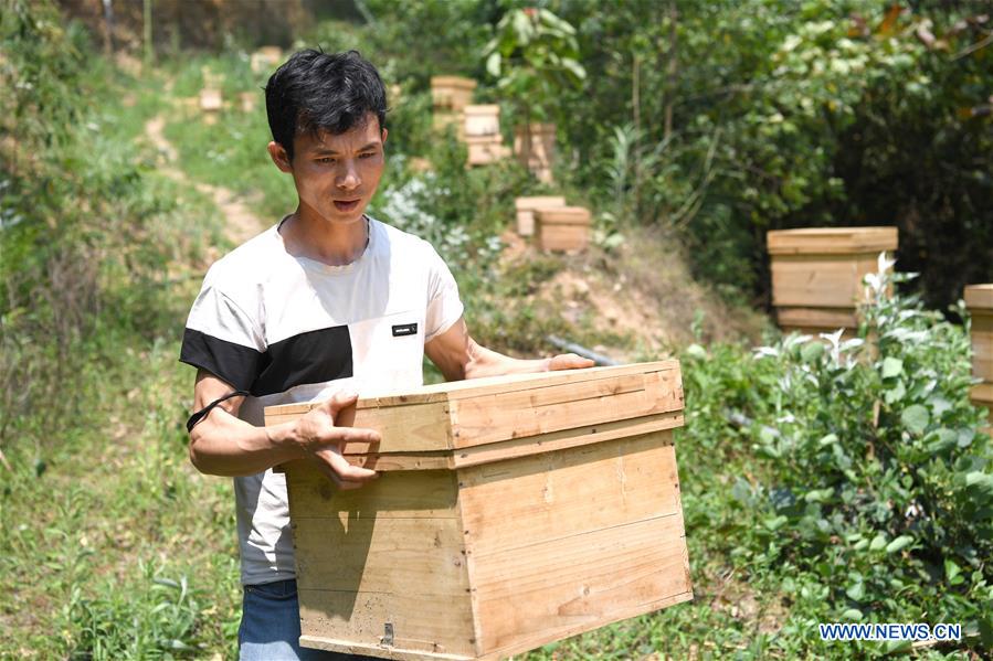 CHINA-GUANGXI-LEYE-BEEKEEPING-POVERTY ALLEVIATION (CN)