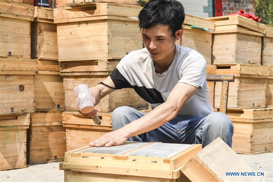 CHINA-GUANGXI-LEYE-BEEKEEPING-POVERTY ALLEVIATION (CN)
