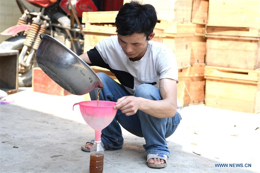 CHINA-GUANGXI-LEYE-BEEKEEPING-POVERTY ALLEVIATION (CN)