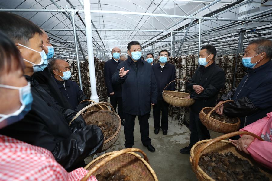 Xi Hails Role of E-Commerce in Poverty Alleviation, Rural Vitalization